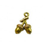Acorns #1143 Acorns #1143
