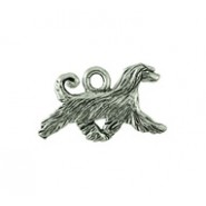 Afghan Hound #3831 Afghan Hound #3831