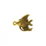 Angel Fish #7 Angel Fish #7