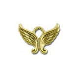 Angel Wings #6066