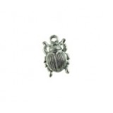 Beetle #2894
