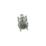 Beetle #2894 Beetle #2894
