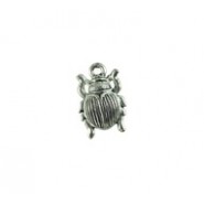 Beetle #2894 Beetle #2894