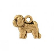 Bichon Frise #4680 Bichon Frise #4680