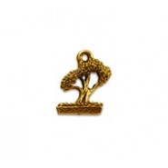 Bonsai Tree #1903 Bonsai Tree #1903