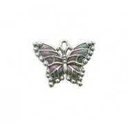 Butterfly #3535