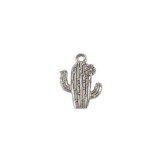 Cactus #6504 Cactus #6504