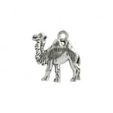 Camel #4781 Camel #4781