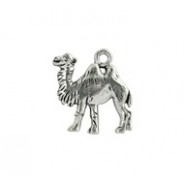 Camel #4781 Camel #4781