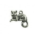 Cat #2432 Cat #2432