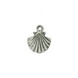 Clam #339 Clam #339