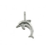 Dolphin #9 Dolphin #9