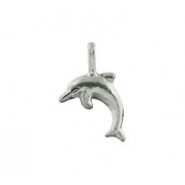 Dolphin #9 Dolphin #9