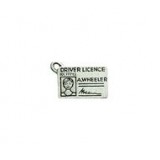 Drivers License #1789NM Drivers License #1789NM