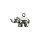 Elephant #526 Elephant #526