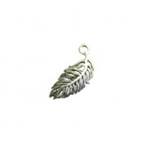 Feather #3823 Feather #3823