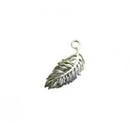 Feather #3823 Feather #3823