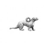 Ferret #3632 Ferret #3632