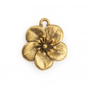 Flower #6587 Flower #6587