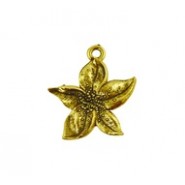 Flower #6116 Flower #6116