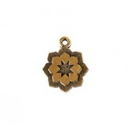 Flower #6465 Flower #6465