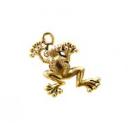 Frog #3623 Frog #3623