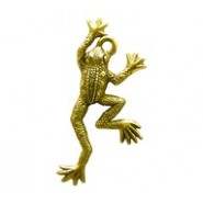 Frog #3647 Frog #3647