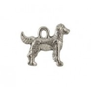 Golden Retriever #3171 Golden Retriever #3171