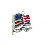 United We Stand Flag - Hand Painted #2592HP
