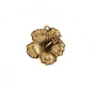 Hibiscus #4169 Hibiscus #4169