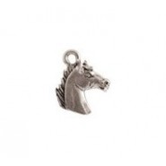 Horse Head #4946