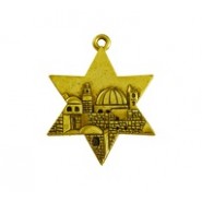 Star of David with Jerusalem (Large) #6340