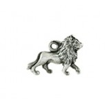 Lion #19 Lion #19