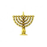 Menorah #617