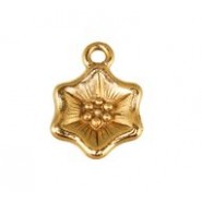 Morning Glory #4327 Morning Glory #4327