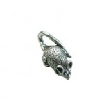 Mouse #1199 Mouse #1199