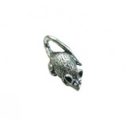Mouse #1199 Mouse #1199
