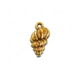 Nassa Shell #4130 Nassa Shell #4130