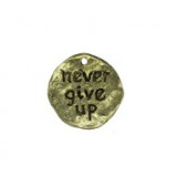 Never Give Up Disc #6493 Never Give Up Disc #6493