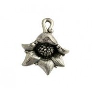 Orchid-Like Flower #4710 Orchid-Like Flower #4710