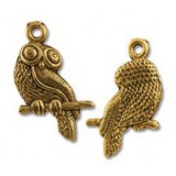 Owl #1727 Owl #1727