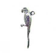 Parrot #1225 Parrot #1225