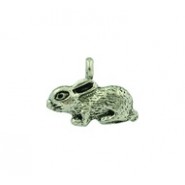 Rabbit #162 Rabbit #162