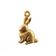 Rabbit #6026 Rabbit #6026