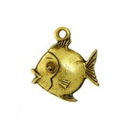 Round Fish #660 Round Fish #660