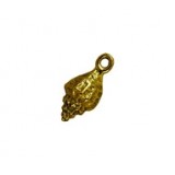Sea Shell #1899NM Sea Shell #1899NM