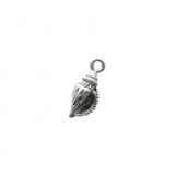 Sea Shell #2289 Sea Shell #2289