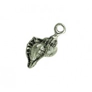 Sea Shell #575 Sea Shell #575