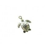 Sea Turtle #527