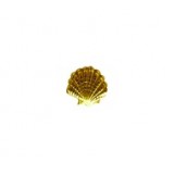 Shell Bead #2475 Shell Bead #2475